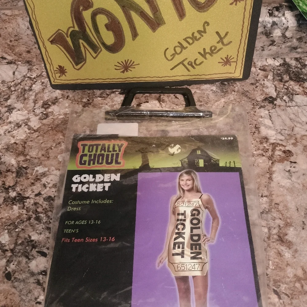 Golden Ticket Costume for Kids - Picture 2 of 4